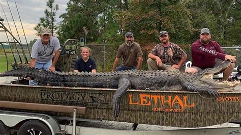 Trophy Hunters Kill 14ft Alligator And Pose With Predators Dead Body