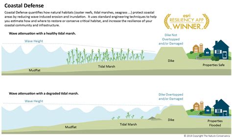 Types Of Coastal Defences