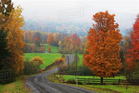 Dirt Road In Autumn With Early Morning Fog Iron Hill Quebec Canada