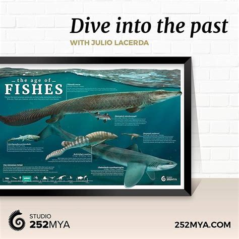 The Age Of Fishes Meet Six Extinct Fishes From The Paleozoic In This