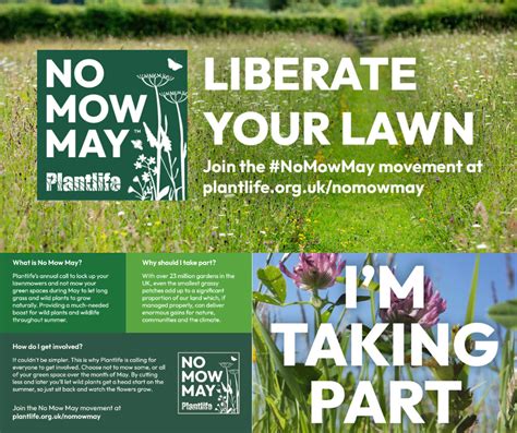 No Mow May Is Here Ayrshire Rivers Trust