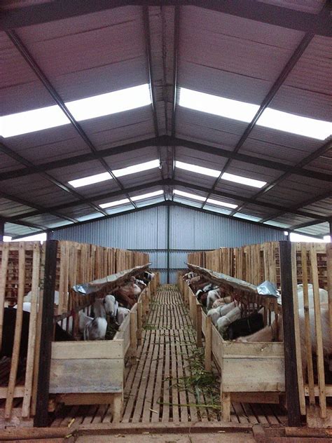 Beli pupuk kandang kambing online berkualitas dengan harga murah terbaru 2021 di tokopedia! Supriyadi: Kandang Kambing dan Domba Kreasi Peternak Indonesia