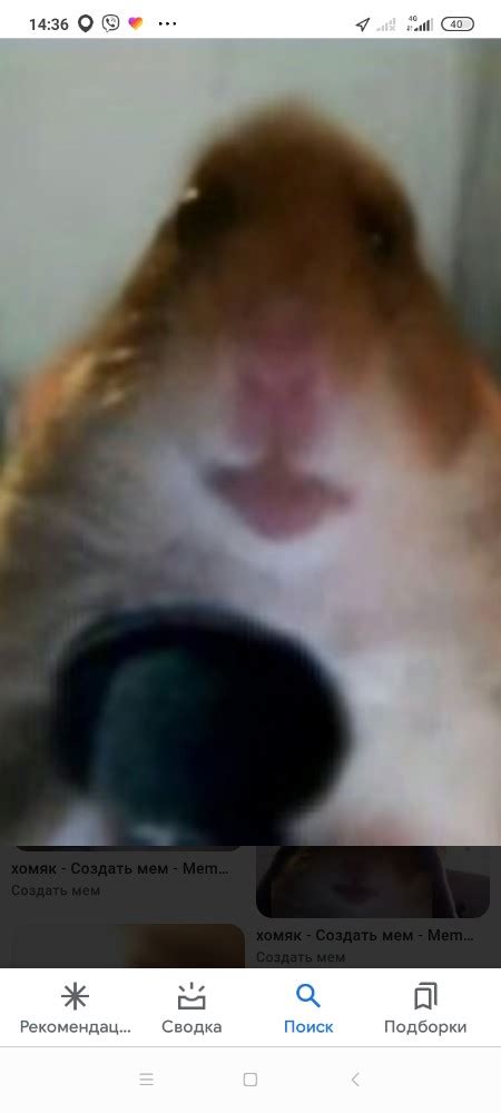 Create Meme The Hamster In The Chamber A Hamster Who Is Looking At