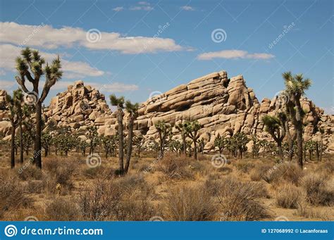 Photogenic Rock Formations At Joshua Tree National Park California