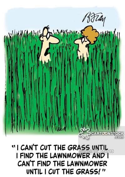Funny Quotes About Grass Quotesgram