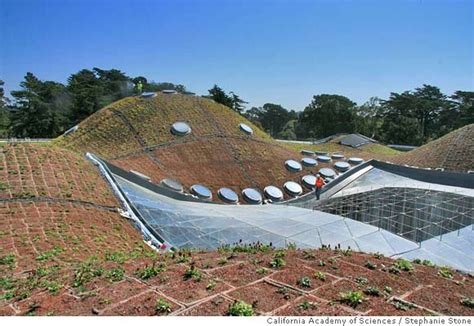 The California Academy Of Sciences Beautiful New Living Roof May Well