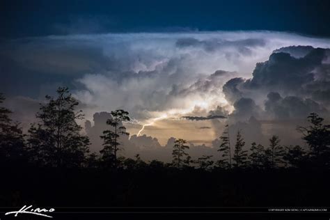 Lightning Over Florida Wetlands Storm Royal Stock Photo
