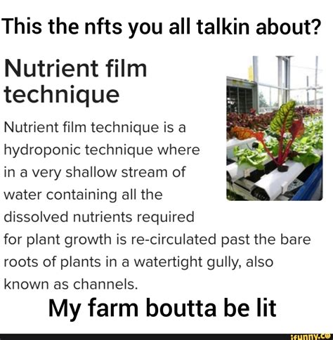 hydroponic memes best collection of funny hydroponic pictures on ifunny