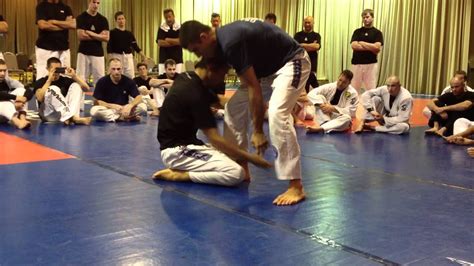 Ryron And Rener Gracie Flow Rolling In Florida Youtube