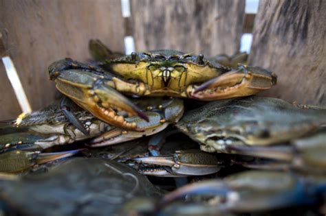 In the above case, the appellant executed a third party land charged in favour of the respondent bank as security for loan, for and on behalf of the borrower. Blue Crab Bank in Hua Hin