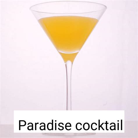 Paradise Cocktail Volledige Cocktail Recept Van Cocktail Set