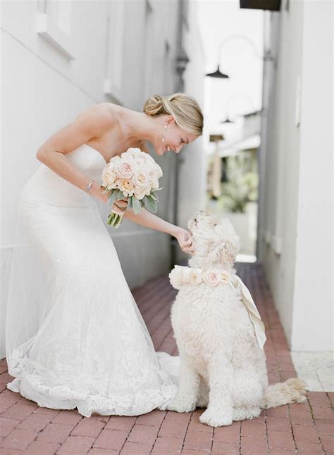 Dog Wedding Attire Ways To Dress Your Dog For Your Wedding