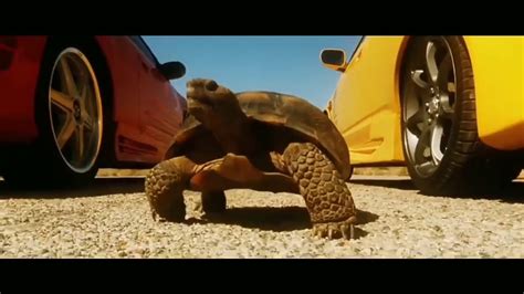 This is another best arabic whatsapp status videos, motivational and funny video status. Ya Lilli Arabic song WhatsApp status - YouTube