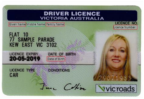 How Do I Find My Drivers Licence And Card Number Rent Blog