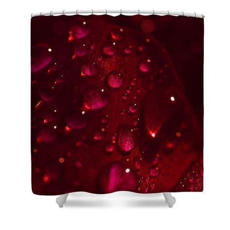 Red Rose Shower Curtain By Keith Smith Rose Shower Curtain Red Roses Shower Curtain