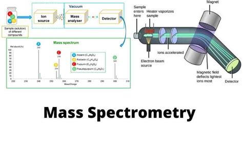 Mass Spectrometry Fundamentals And Principles Datespeck