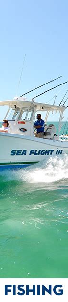 Cruise Naples Florida Fishing Florida Cruises Sightseeing And