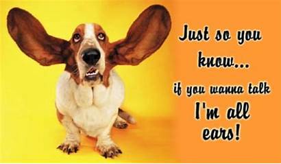 Know Cards Basset Hound Ears Encouragement Care
