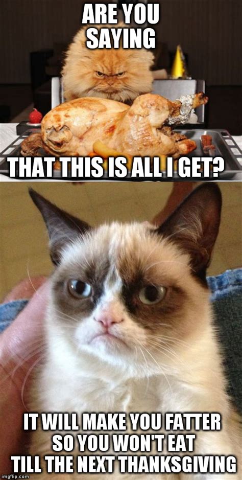 Grumpy Cat Memes Imgflip