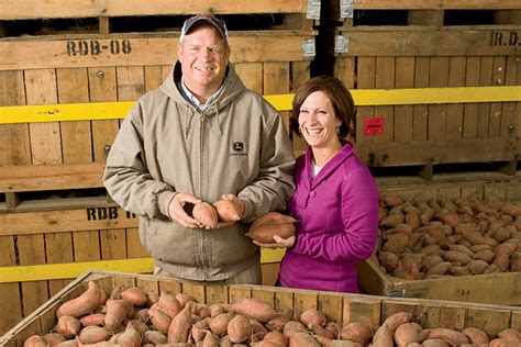 North Carolina Sweet Potatoes Take Root