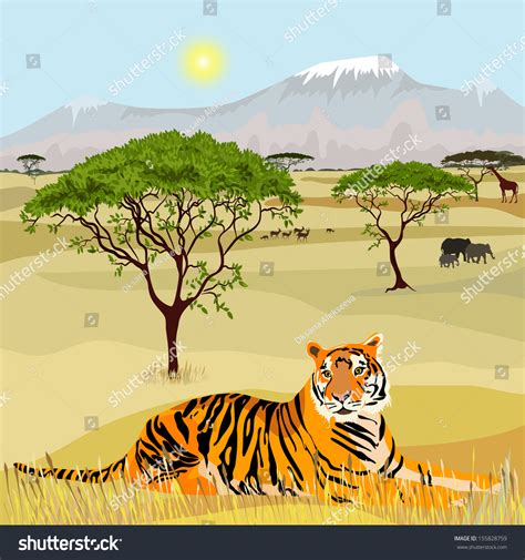 African Mountain Idealistic Landscape Tiger Stock Vector Royalty Free