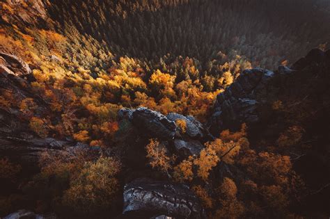 Wallpaper Sunlight Trees Landscape Forest Fall Rock Nature