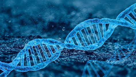 Genes Y Genética Biología Y Ciencias Naturales