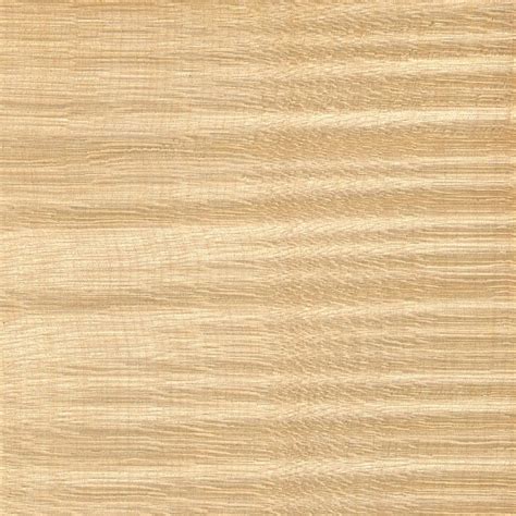 Sycamore Maple The Wood Database Lumber Identification Hardwood