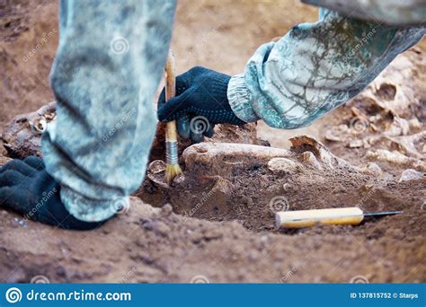 Archaeological Excavation The Hands Of Archaeologist With Tools