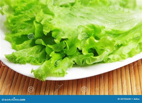 Lettuce Stock Photo Image Of Chlorophyll Ingredient 30705638