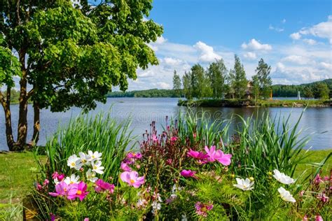 Beautiful Summer Landscape On Lake And With Flowers On Foreground Stock