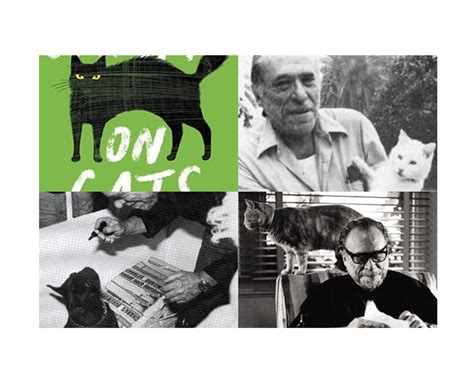 Charles Bukowski On Cats