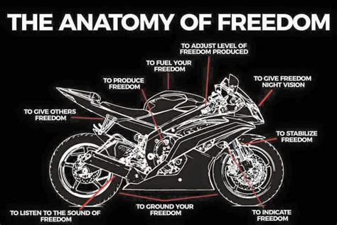 Learning how to ride a motorcycle can be daunting at first. The anatomy of freedom : motorcyclememes