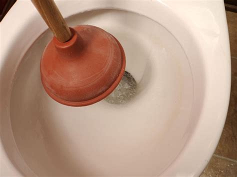How To Unclog A Toilet With A Plunger Dummies