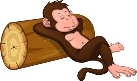 Cute Monkey Is Sleeping Premium Vector