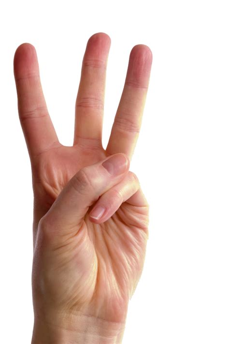 Collection Of Fingers Png Pluspng