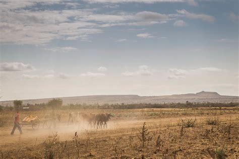 The southern nations, nationalities, and peoples' region (snnpr) is a multinational regional state of ethiopia. HALABA WOREDA, SNNPR - 24 JANUARY 2016 | Ethiopia is ...