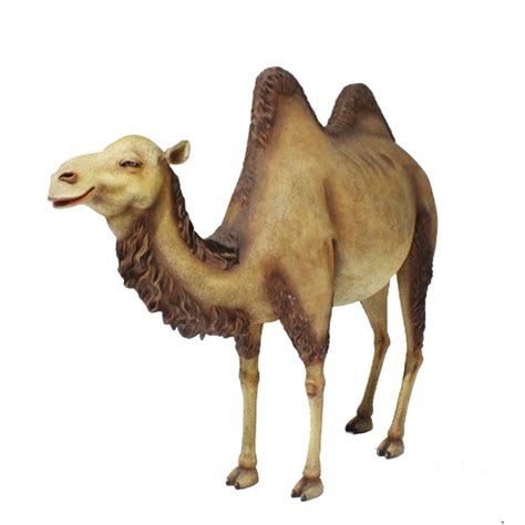 Camel Life Size Statue