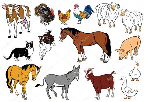 Set Of Farm Animals Isolated On White Stock Vector Image By ©insima