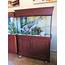 Aquarium With Stand And Canopy & 55 Gallon Plans