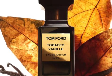 10 Best Tom Ford Colognes For Men Ranked In Order