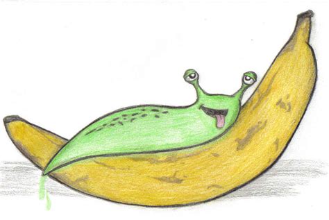 Green Slug On A Banana As A Graphic Illustration Free Image Download