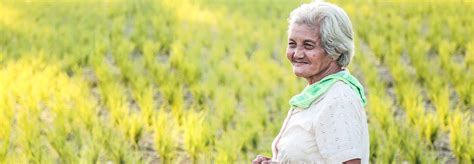 Least developed countries (ldcs) are the most vulnerable to climate change, yet the least the fund, managed by the gef, supports the world's most vulnerable countries in their efforts to adapt to. Least Developed Countries group calls for fair and ...