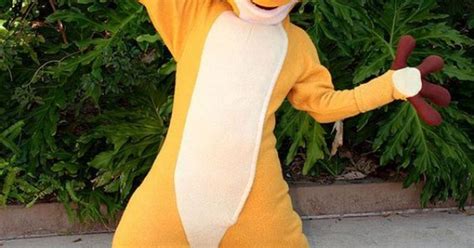 Timon Mascot Costume For Adult