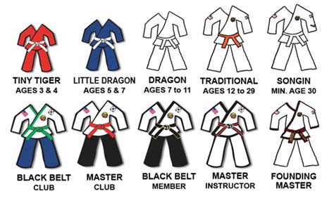 Taekwondo Belt Colours And Meanings Yolando Atkinson