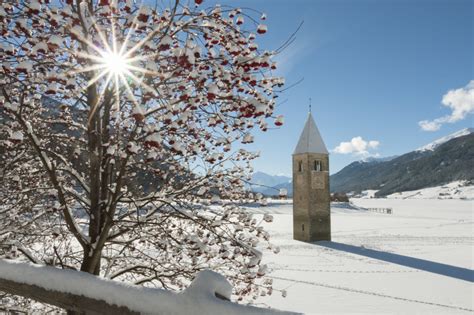 Church Tower In The Resia Lake Tourist Attraction Reschen