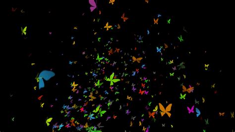 Large Swarm Of Butterflies Flying Upward Loop Stock Motion Graphics Sbv