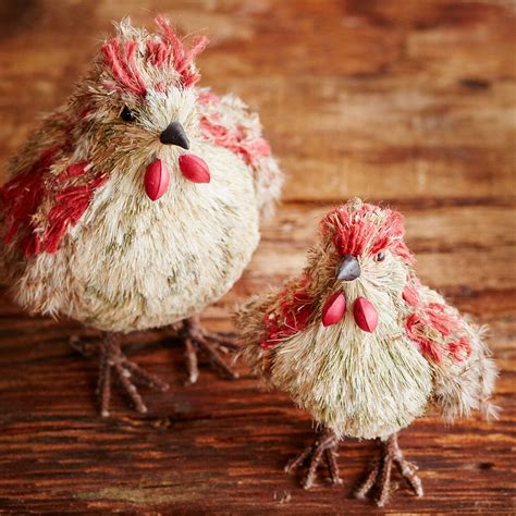 Jacques Pepin Collection Grass Chicken | Sur La Table