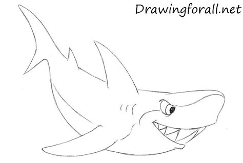 Then from the tip of the left line draw a big curved line down and back, that comes close. How to Draw a Cartoon Shark