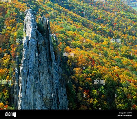Usa West Virginia Spruce Knob Seneca Rocks National Recreation Area